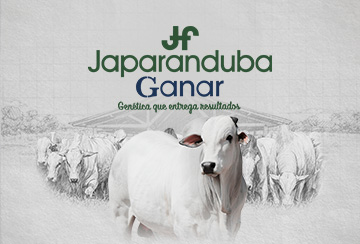 61º LEILÃO JAPARANDUBA GANAR